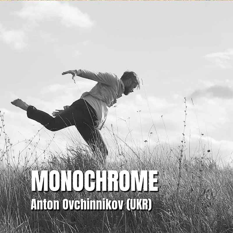 monochrome di Anton Ovchinnikov